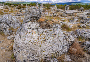 Close up on a rock in Pobiti Kamani - natural phenomenon called Stone Forest in Bulgaria