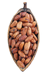 Cocoa pod isolated on white background