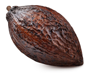 Cocoa isolated on white background