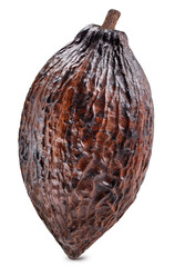 Cocoa isolated on white background