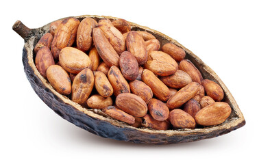 Cocoa pods and cocoa beans isolated on a white background