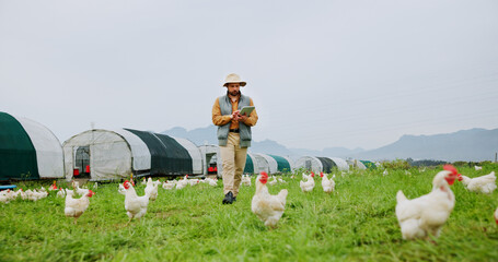 Chicken, farm and man with tablet for agriculture, poultry flock records or livestock update. Animal tracking, report and organic ranch with farmer for sustainable free range eggs in countryside © peopleimages.com