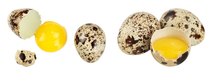 Raw quail egg isolated on white background with full depth of field. Top view. Flat lay