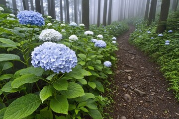 Misty Morning Garden Path Surrounded by Hydrangeas in Serene Forest Landscape