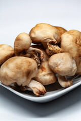 Lot of japanese mushrooms on a white background
