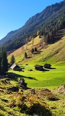 Landscape in the Swiss Alps in the Bernese Oberland with typical wooden huts, fir forests, green meadows, and blue skies, Justis Valley, Switzerland