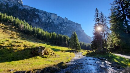 Peaceful mountain landscape with a mountain stream, fir trees, green meadows, and sunbeams shining through the tall fir trees, Bernese Oberland, Switzerland