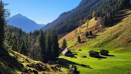 Landscape in the Swiss Alps in the Bernese Oberland with typical wooden huts, fir forests, green meadows, and blue skies, Justis Valley, Switzerland