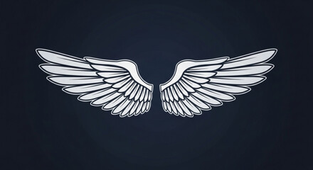 Fototapeta premium Illustration of a pair of wings, symbolizing freedom, aspiration, and transcendence against a dark background, creating a sense of mystery