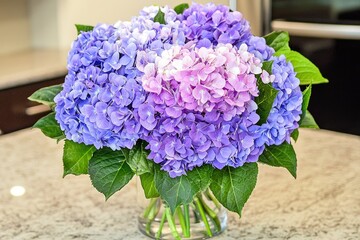 Freshly Cut Hydrangeas in a Vase on a Kitchen Counter with Granite Surface
