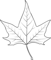 Maple Tree Leaf Outline National Canada Symbol