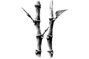 Whispers Wild: Trio Textured Twigs Branches | Clean, isolated vector art for creative projects.