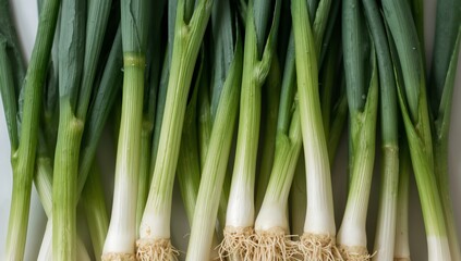 Obraz premium Verdant Rows. An Abstract Arrangement of Linear Forms and Organic Textures, CloseUp.