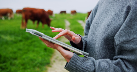 Woman, hands and farm with tablet for agriculture, livestock or economic production in countryside....