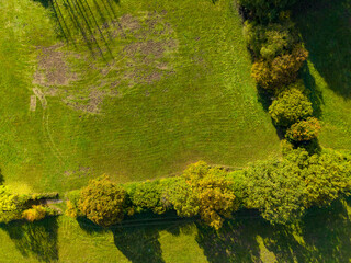 Lush green landscape at midday showing trees casting long shadows over a field