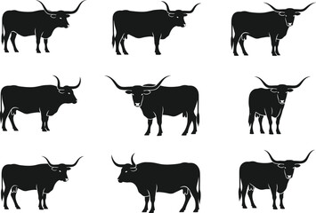 Collection of longhorn bull silhouettes in standing and walking poses, farm animal cattle vector illustration, livestock design for ranch, agriculture, and branding