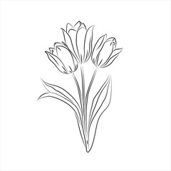 Elegant Line Art Tulips Bouquet. Black and White Tulip Line Art Illustration