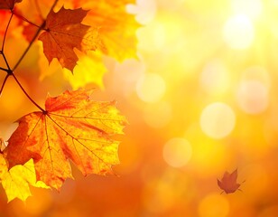 Fototapeta premium Close-up of vibrant maple leaves in autumn, bathed in warm sunlight. Bokeh background