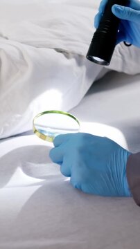 Magnifying Glass Inspecting Bedbug Infestation
