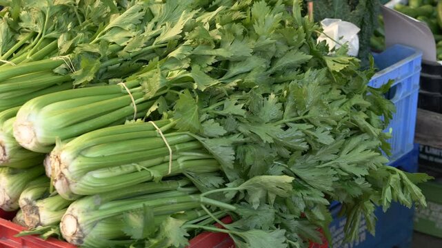 Healthy greens ready for purchase, Market scene showcasing fresh celery and lush greens for sale, Vendor offers fresh organic celery alongside various leafy greens at bustling farmers market