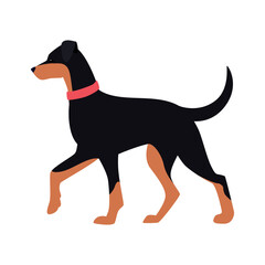 Flat style illustration of black and tan dog with red collar walking in profile view isolated on white background
