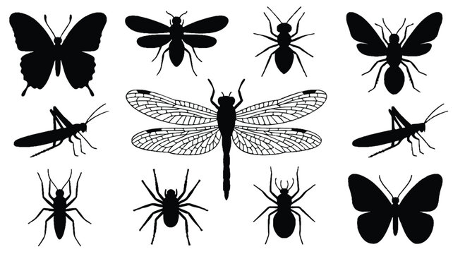 A black and white illustration featuring 11 insect silhouettes arranged in a grid pattern against a white background 
