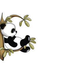 panda and bamboo
