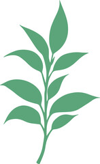 vector style floral branch transparent 