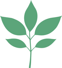 vector style floral branch transparent 