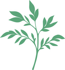 vector style floral branch transparent 
