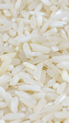 macro photo of white rice. background or texture