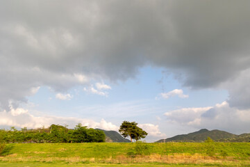 green field and blue sky