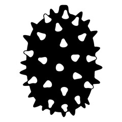 Silhouette of a spiky seed