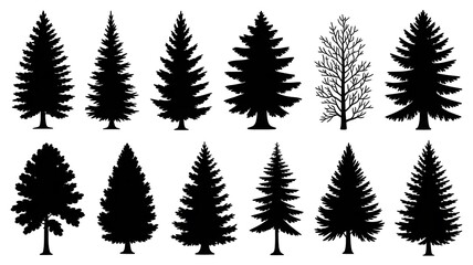 Collection of various pine tree silhouettes isolated on white background