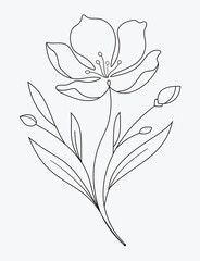 Hand Drawn Floral Logo Element. Elegant Single Line Bloom Vector Illustration.