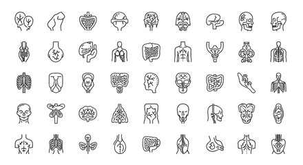 Modern thin line vector illustration set of human anatomy icons, including various organs, body parts, skeleton components, and anatomical diagrams, perfect for medical and scientific presentations