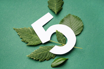 Green leaves with paper number five on color background
