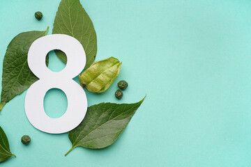 Green leaves with paper number eight on turquoise background