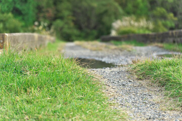 Obraz premium 日本の田舎の原風景と集落｜青空の下、広がる水田とあぜ道、そして古い家屋の風景