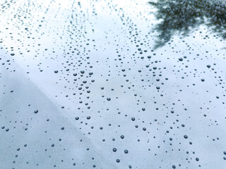 Drops of rain softly glisten on a smooth surface, reflecting the world above during a tranquil afternoon after a gentle shower