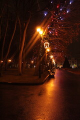 Magical European park shining with Christmas lights and decorations. Cozy alleys, glowing garlands, winter holiday atmosphere 