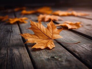 Obraz premium Beautiful autumn leaves on rustic wooden surface showcasing vibrant fall foliage natural seasonal scenery and warm outdoor environment with cozy autumn colors