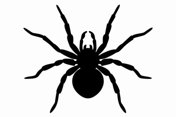 butterfly black vector, butterfly silhouette, butterfly icon