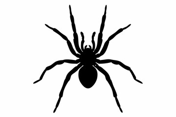 spider silhouette vector, spider black icon