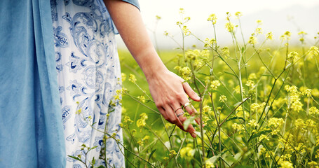 Hands, flowers and woman in field, nature and environment with journey, calm and vacation. Outdoor, plants or person with adventure, earth day and summer holiday with tourist, walking and countryside