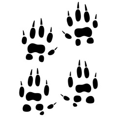 stoat footprint,  animal track stoat paws.