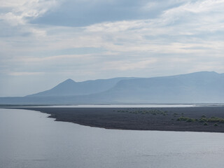 island, shore and rocks on the seashore in iceland