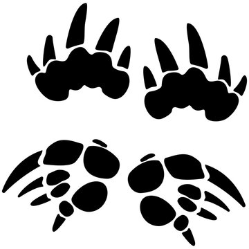 echidna footprint, Echidna paw track vector.