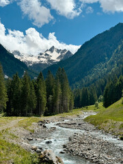 natura Val di Sole montagna estate