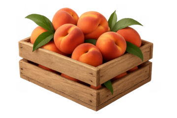 Fresh ripe peaches with green leaves in wooden crate
